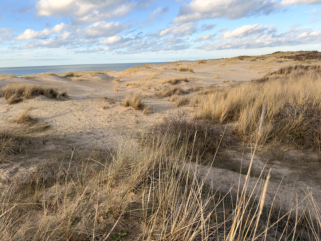 Refuge des Dunes