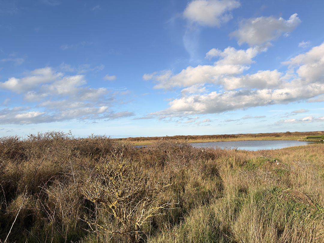 Refuge des Dunes